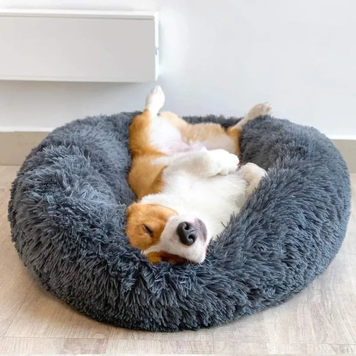 PlushPup Donut Cuddle Bed