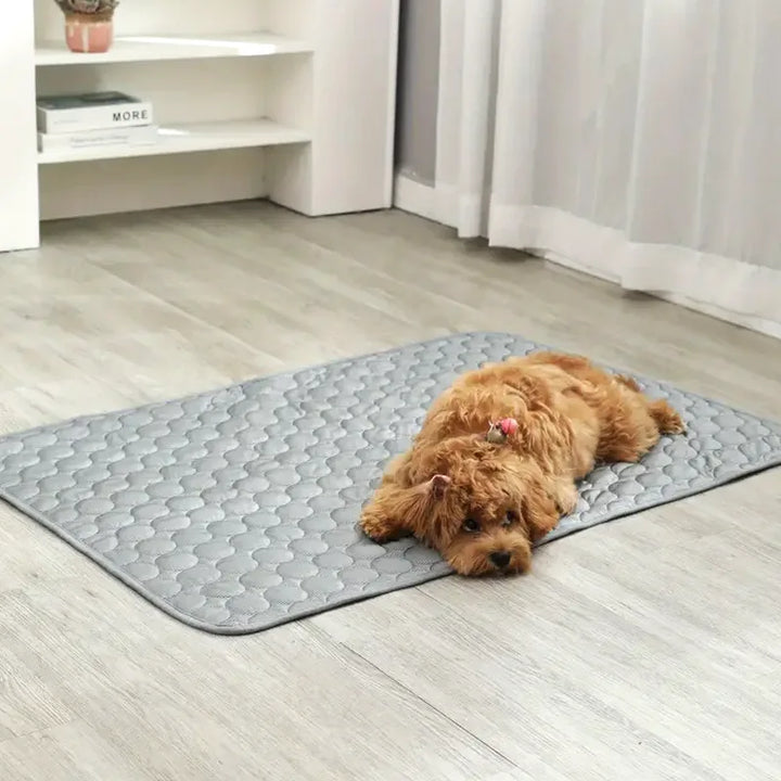 IcePet Pet Cooling Mat