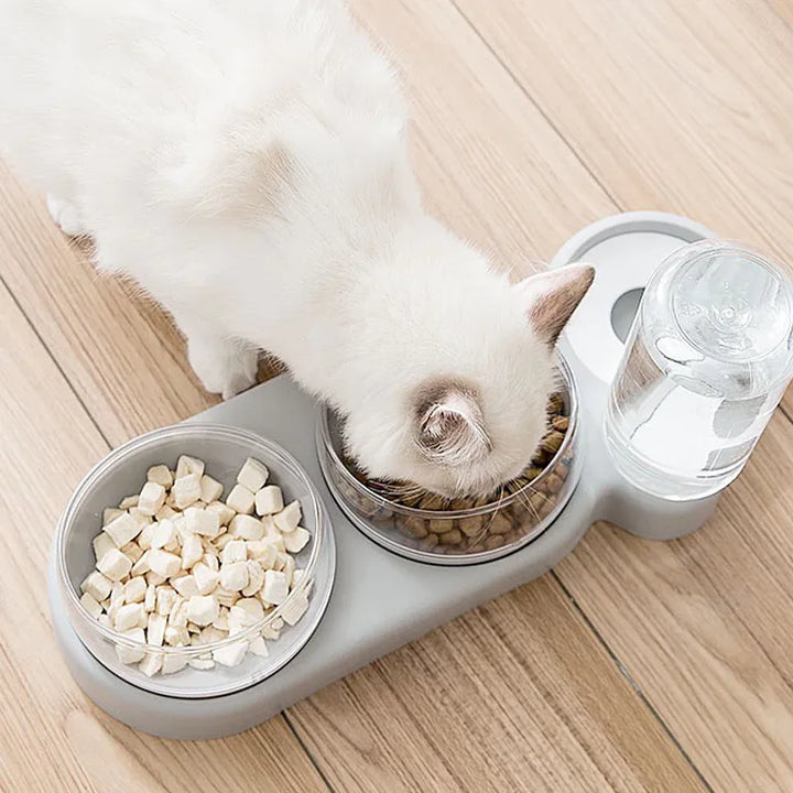 Cat Food and Water Bowl 