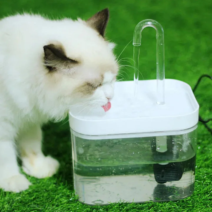 HydroPurr Cat Water Fountain