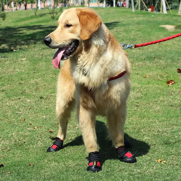 TrueLove Anti-slip Dog Boots