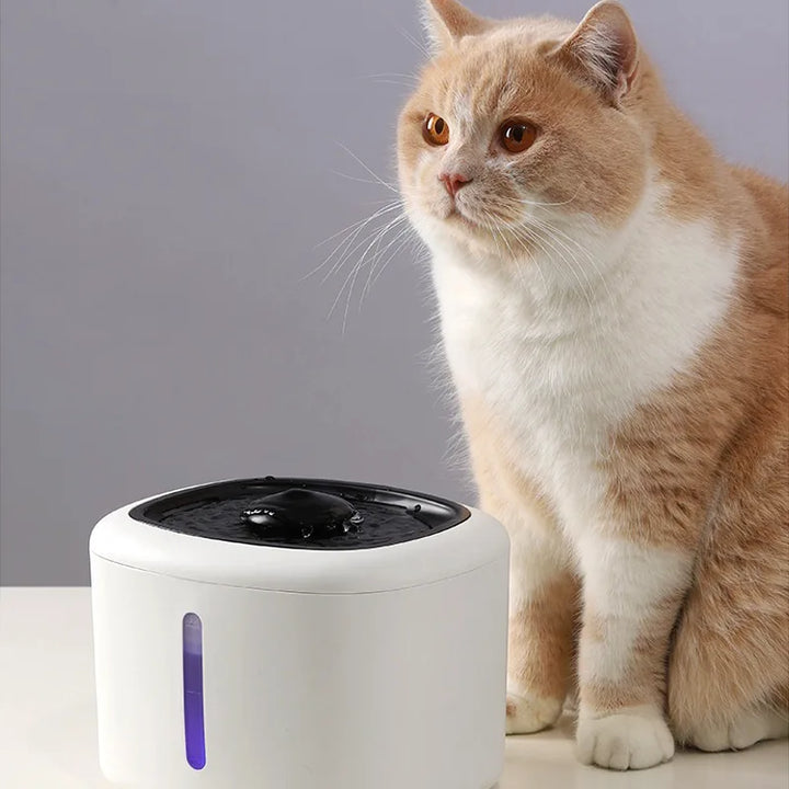 NatureSip Smart Pet Fountain