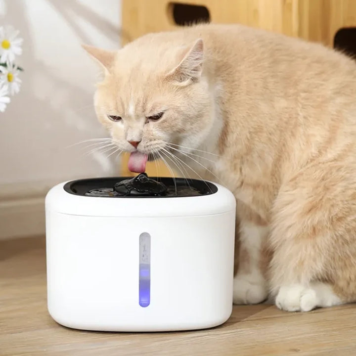 NatureSip Smart Pet Fountain