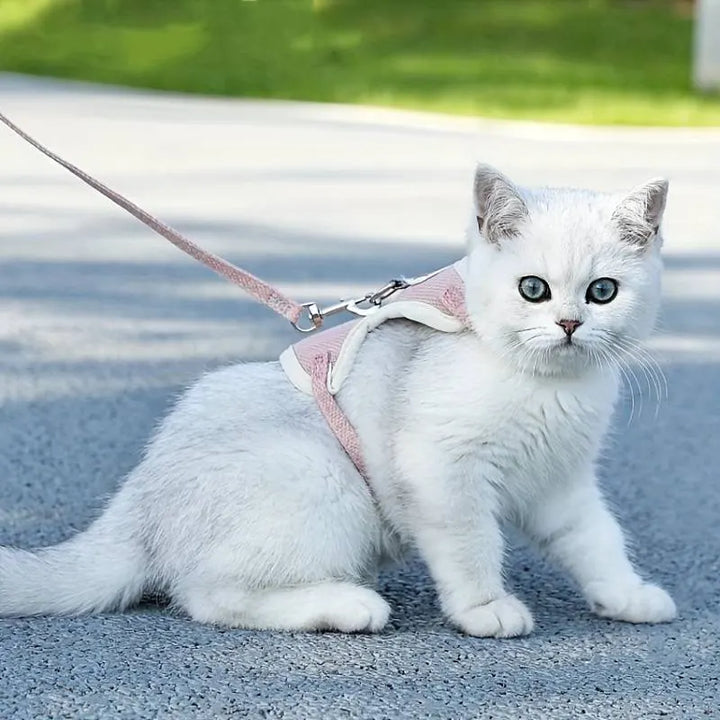 MiniMochi Vest & Leash Set