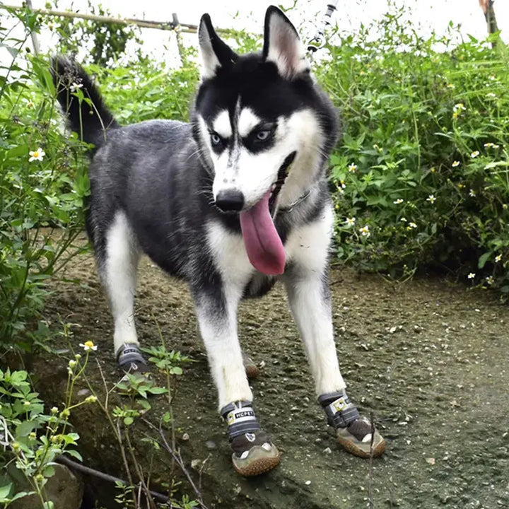 PaTerra Expedition Dog Shoes