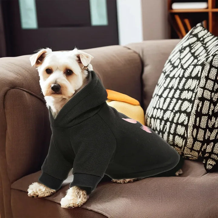 Pumpkin Patch Pet Hoodie