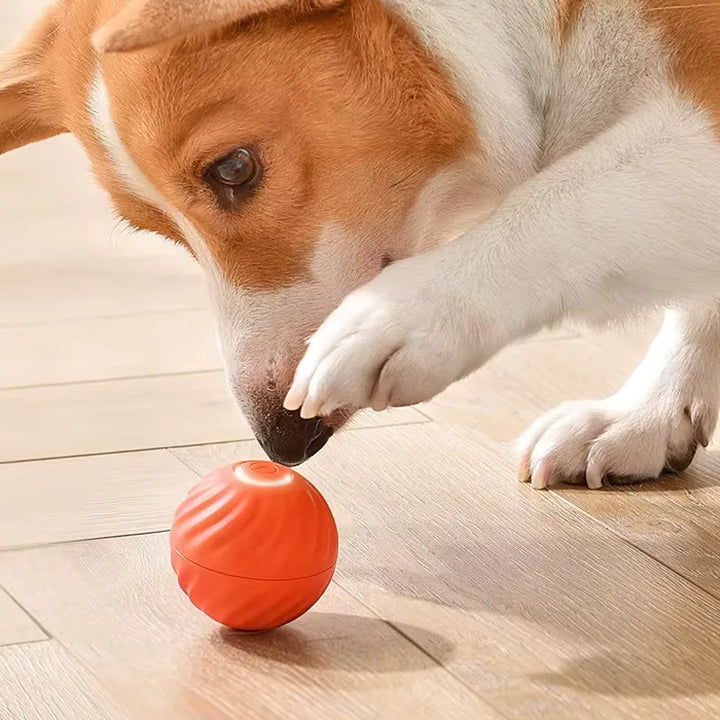 PupJoy Interactive Ball Toy