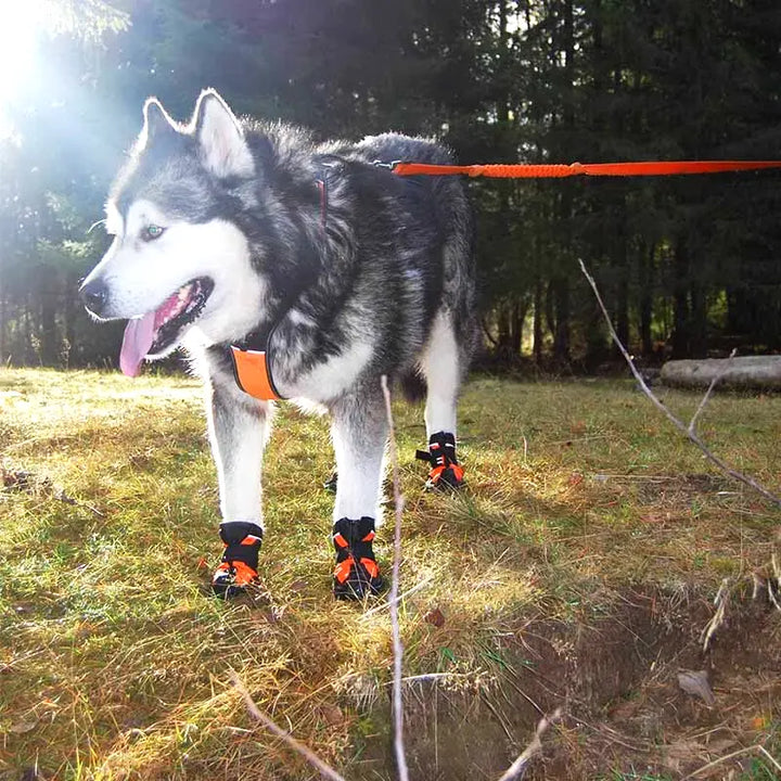 TrueLove Anti-slip Dog Boots