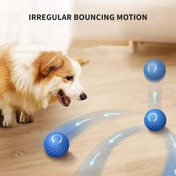 PupJoy Interactive Ball Toy