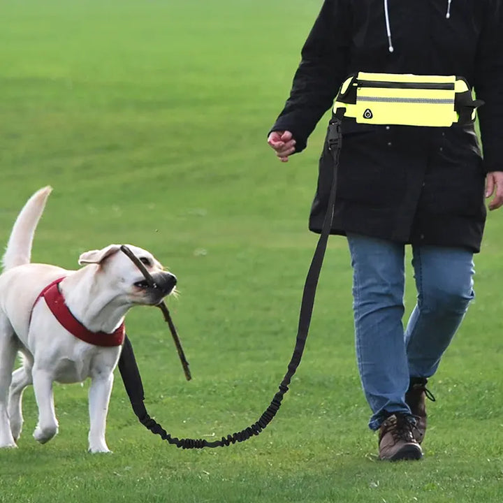 FlexiWalk Hands-Free Leash