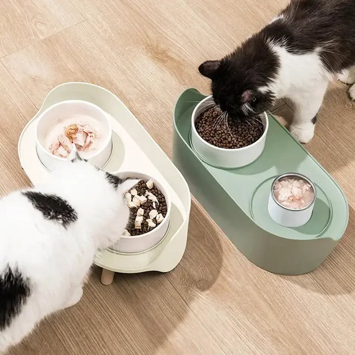 Ceramic Cat Bowl Protects The Cervical Spine Against Black Chin