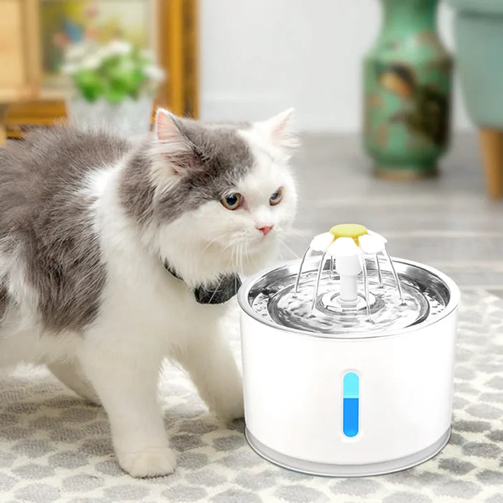 EverClean Automatic Pet Fountain