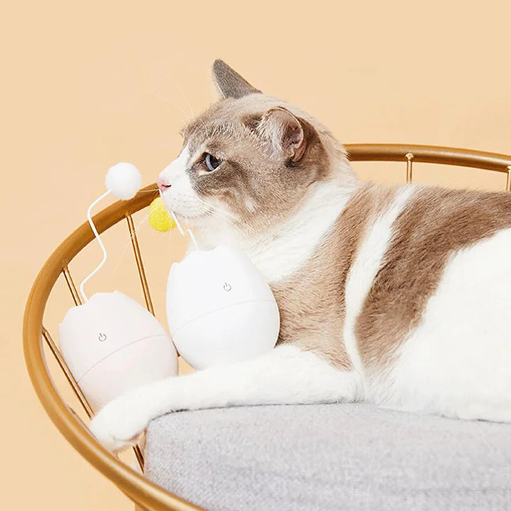 SmartCat Interactive Eggshell Toy