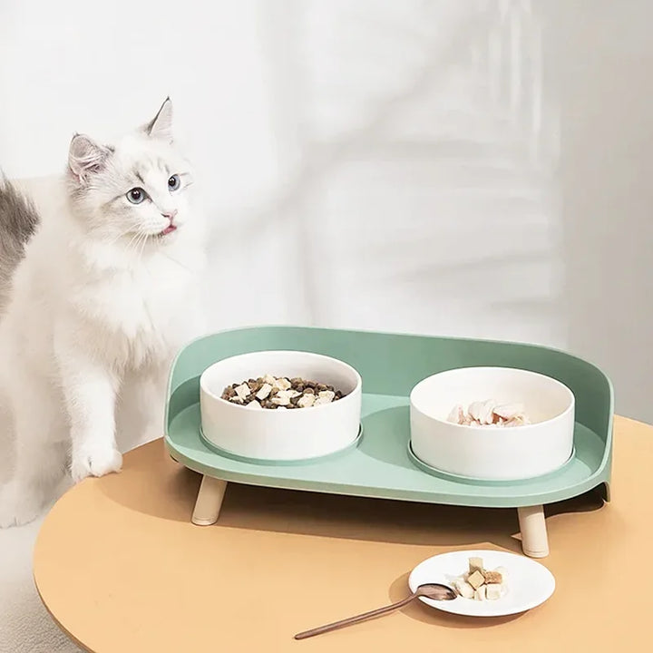 Ceramic Cat Bowl Protects The Cervical Spine Against Black Chin