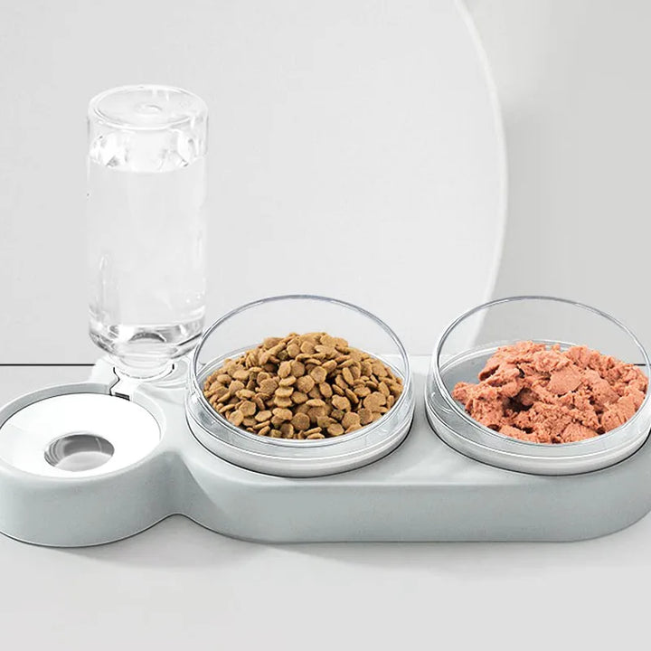 Cat Food and Water Bowl 