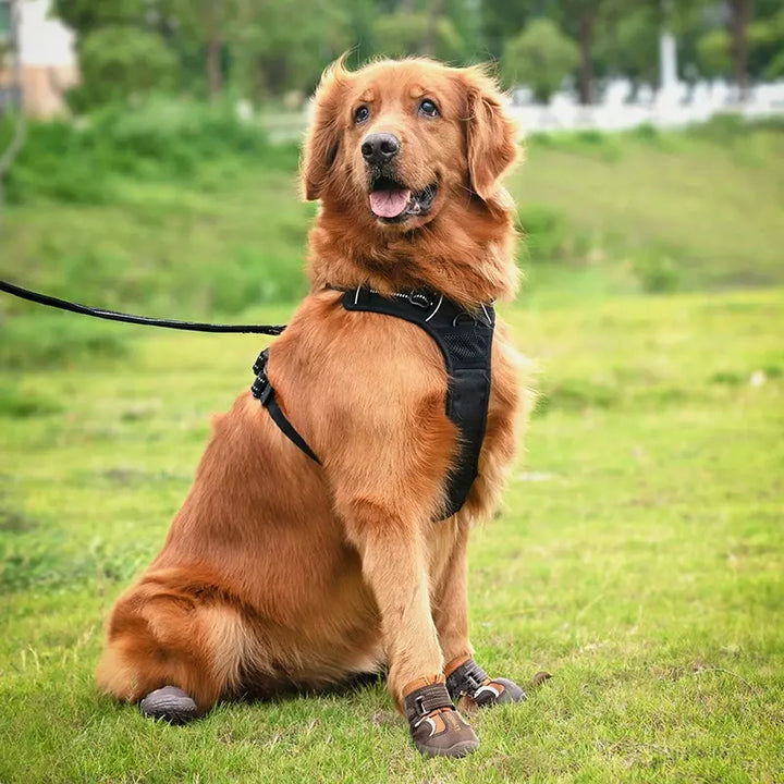 TrueLove Anti-slip Dog Boots