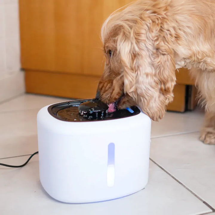 NatureSip Smart Pet Fountain