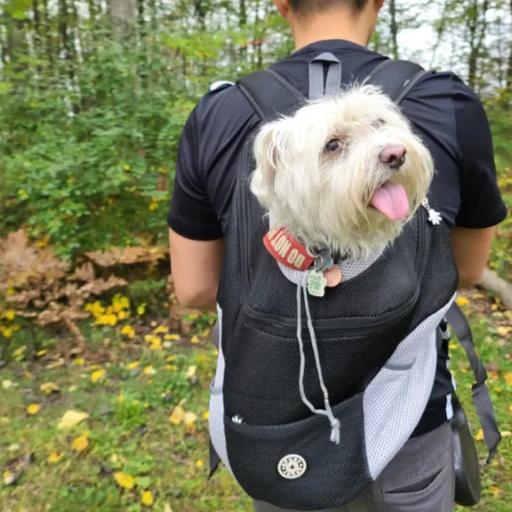 Doggy Pet Adventure Backpack