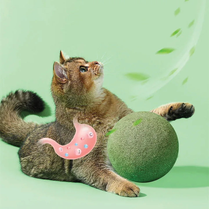 Meowgical Avocado Catnip Toy