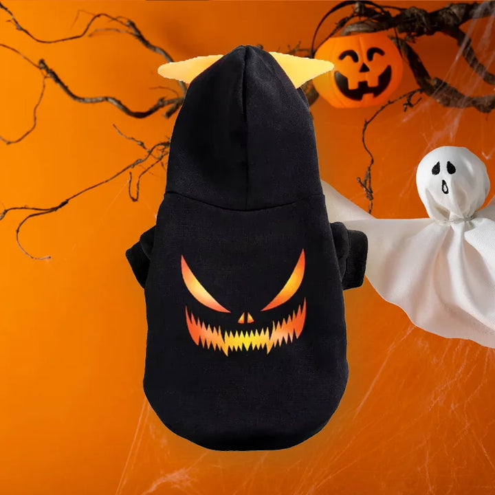 Pumpkin Patch Pet Hoodie